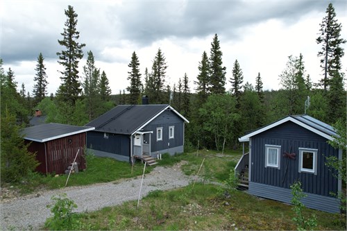 Dvärgbjörksvägen 3