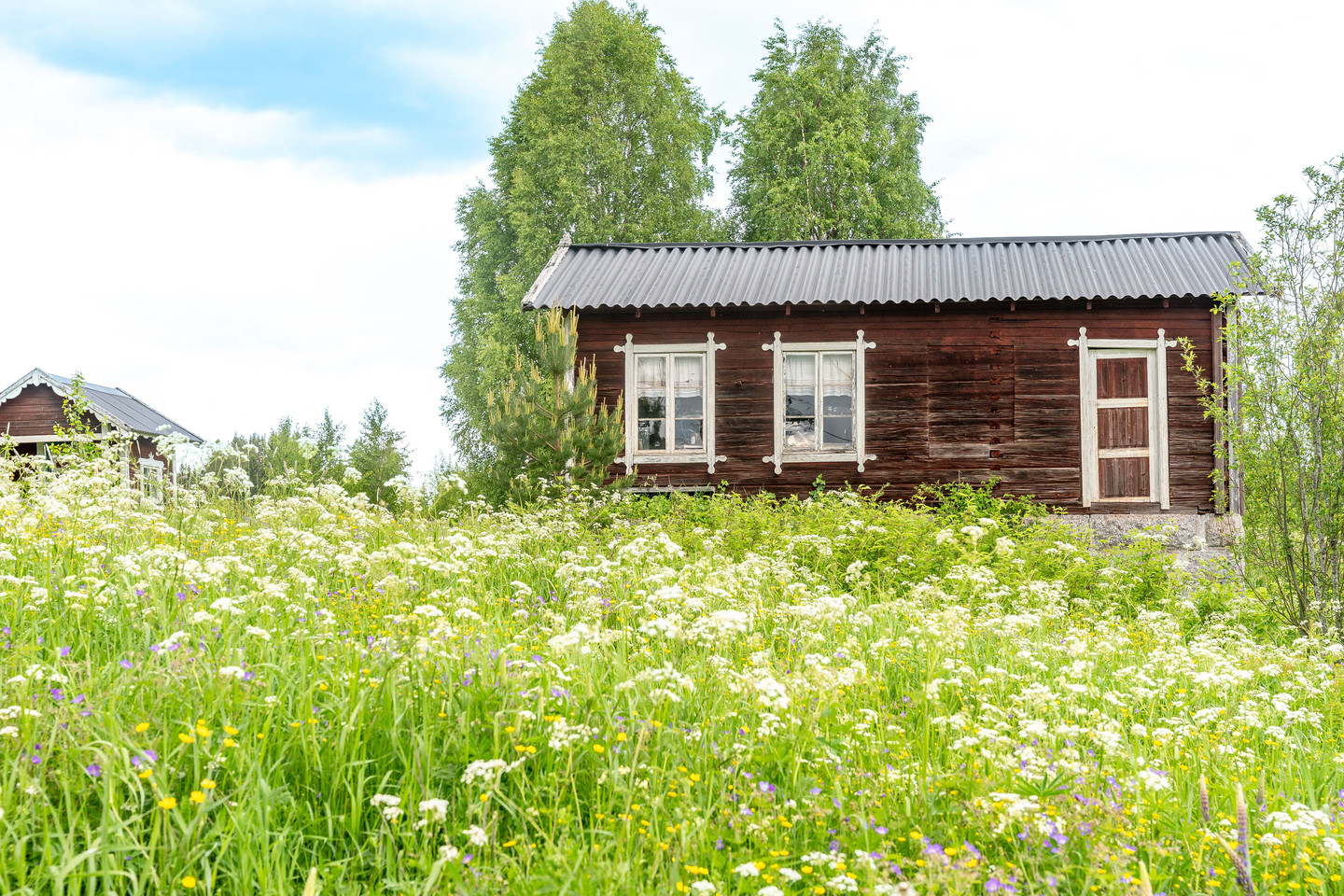 Lungsjön 140 – bild 43