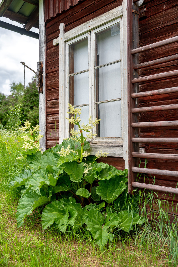 Lungsjön 140 – bild 44