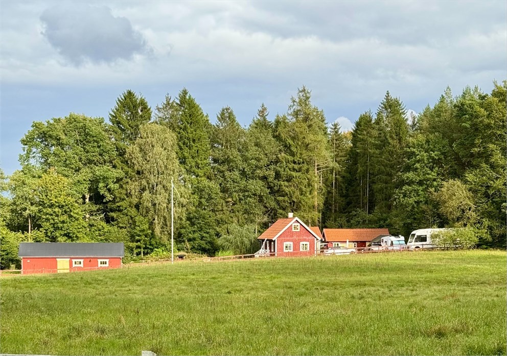 Fjärlöv 1330