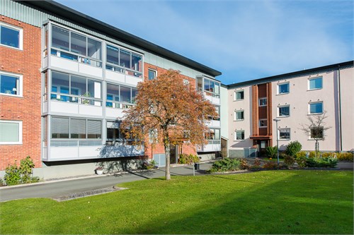 Stockrosgatan 61