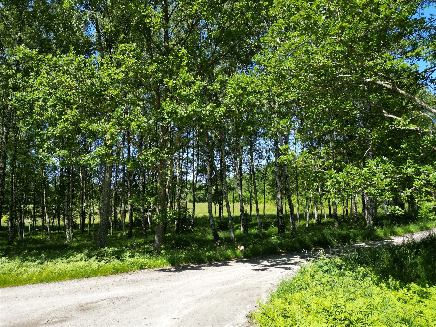 Stripplekärr 1:34 – bild 8
