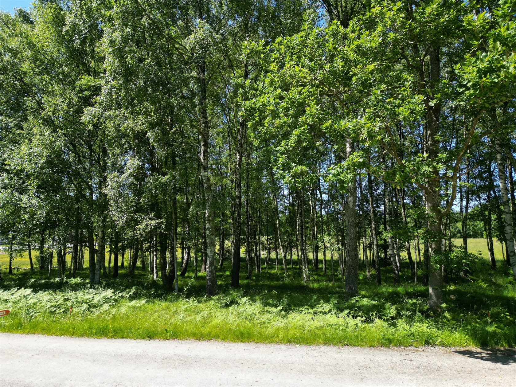 Stripplekärr 1:34 – bild 9
