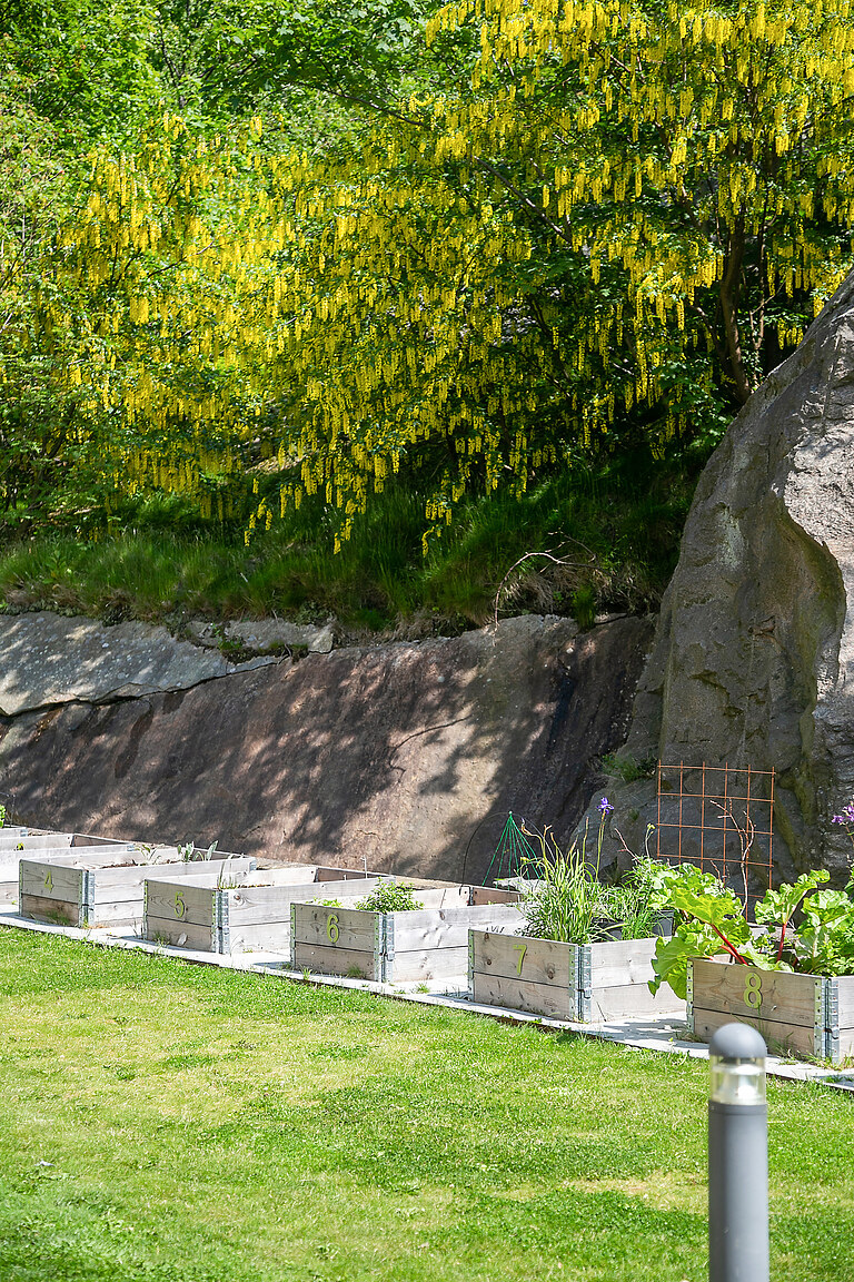 Seglaregatan 10 – bild 2