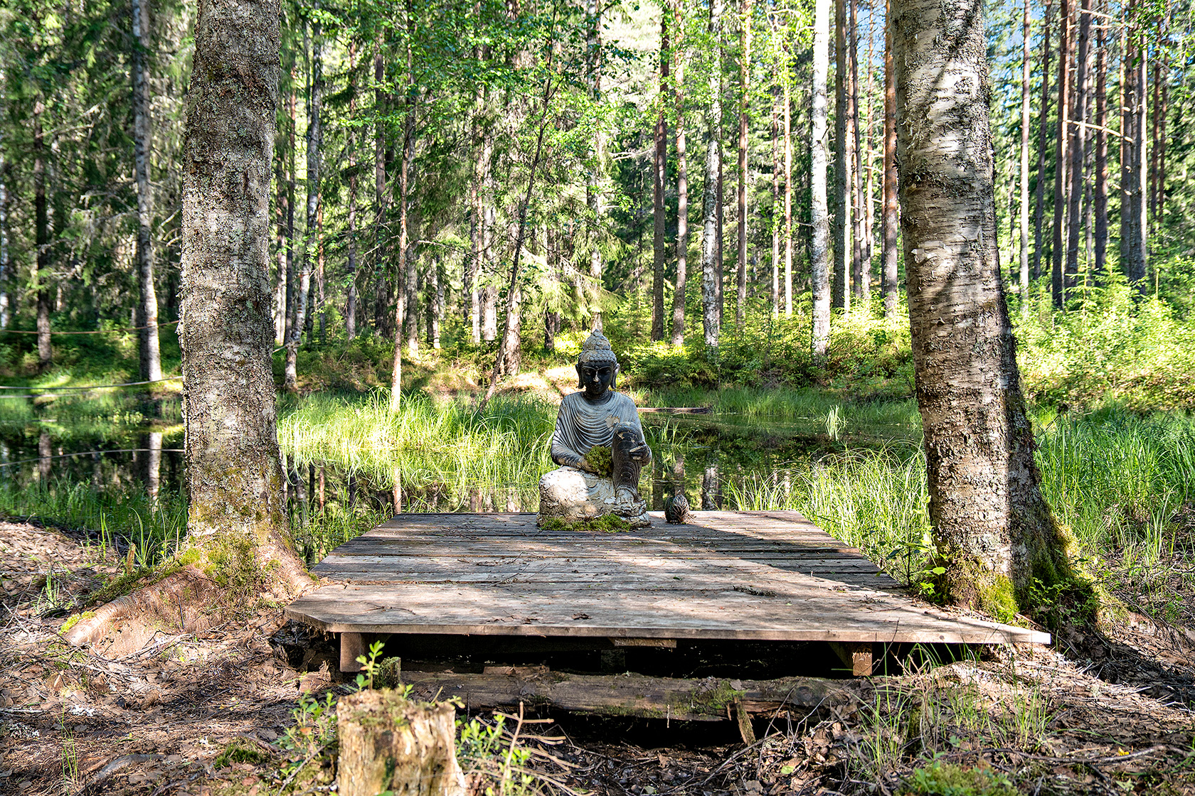 Vildmarksbyn Eden – bild 22