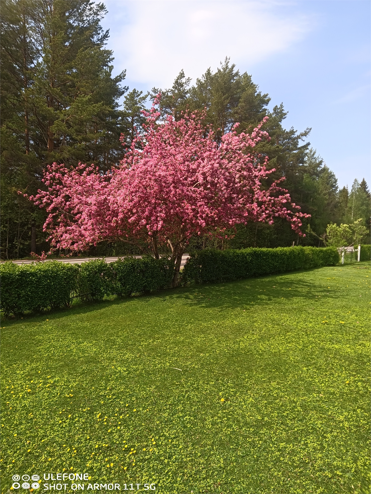 Skräddrabo 431 – bild 4
