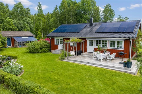 Härlig ocn grönskande baksida