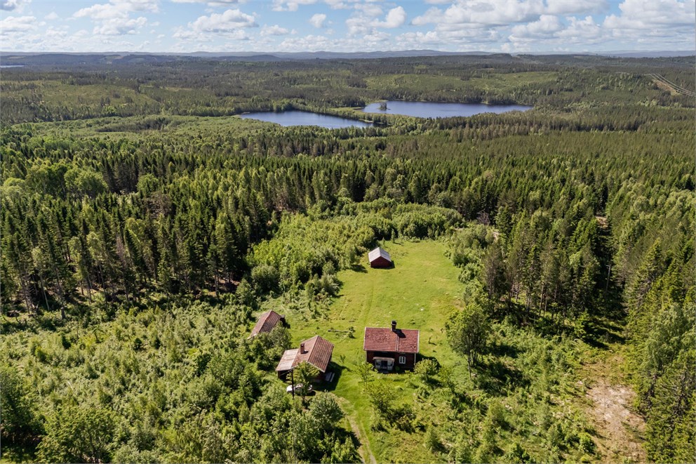 Vintjärn 51