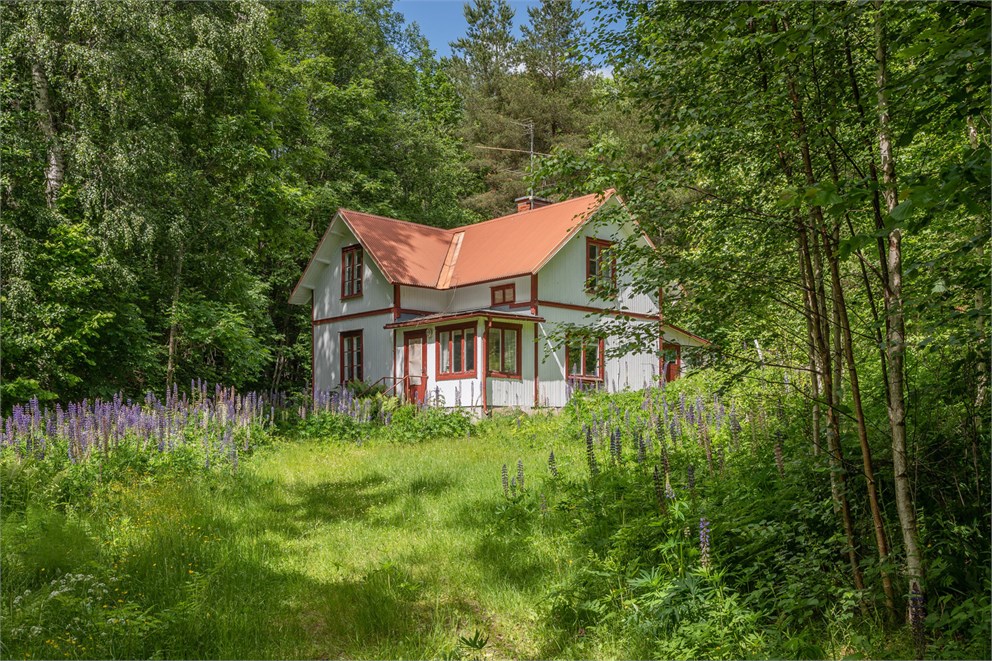 Finnerud 2
