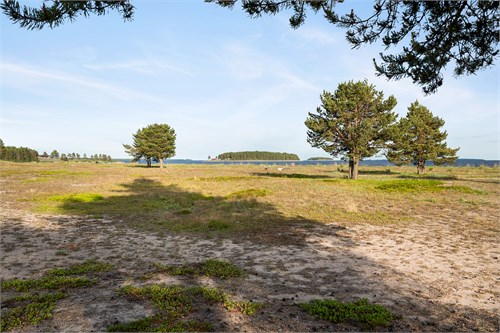 Natur och strand nedanför tomt