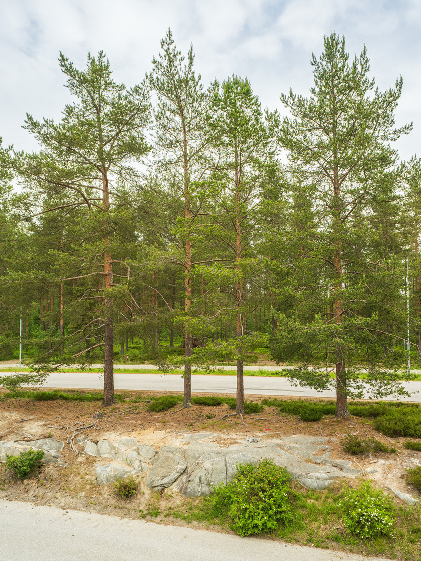 Jakträttsvägen 14 – bild 35