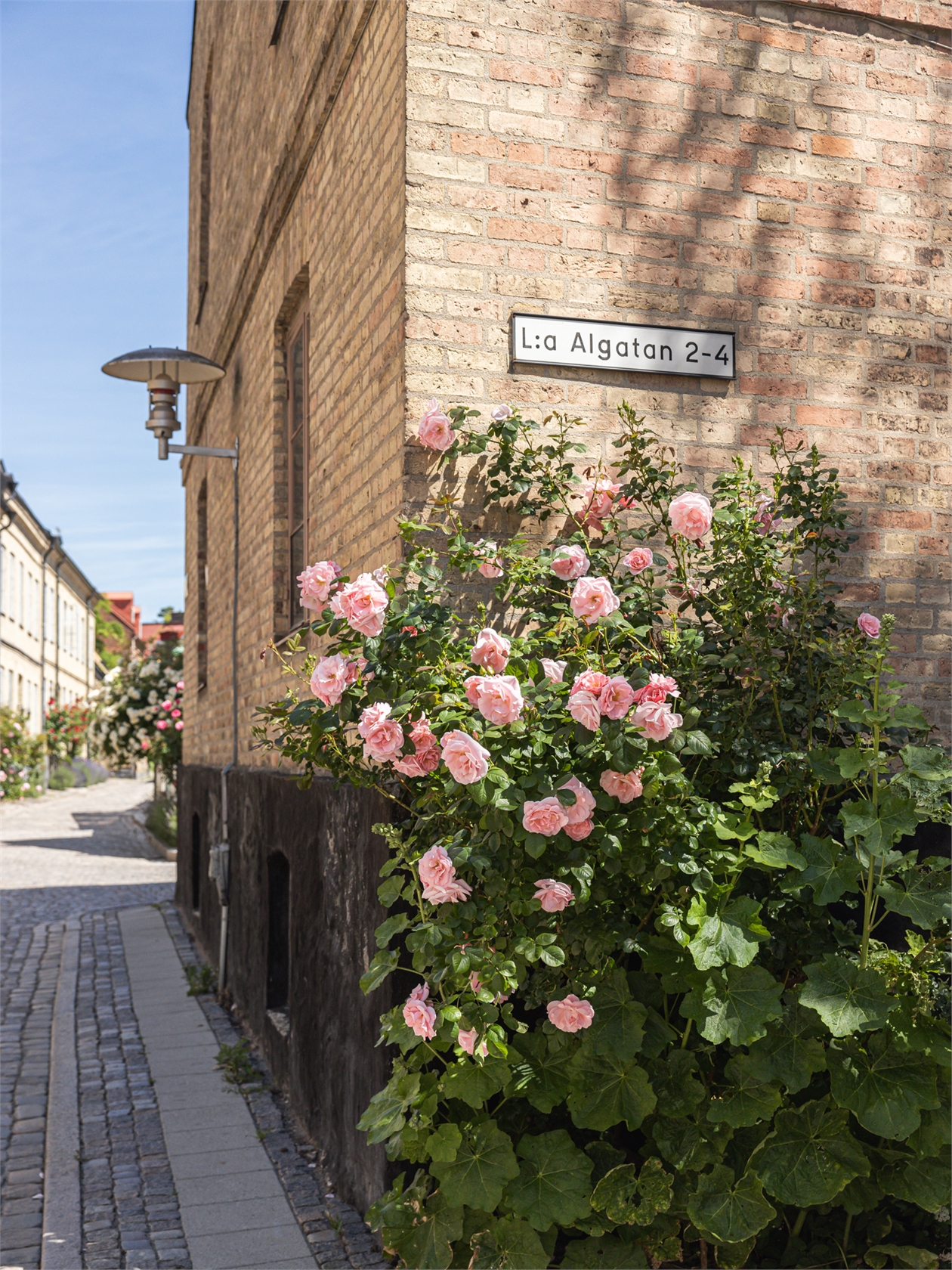 Lilla Algatan 4A – bild 3