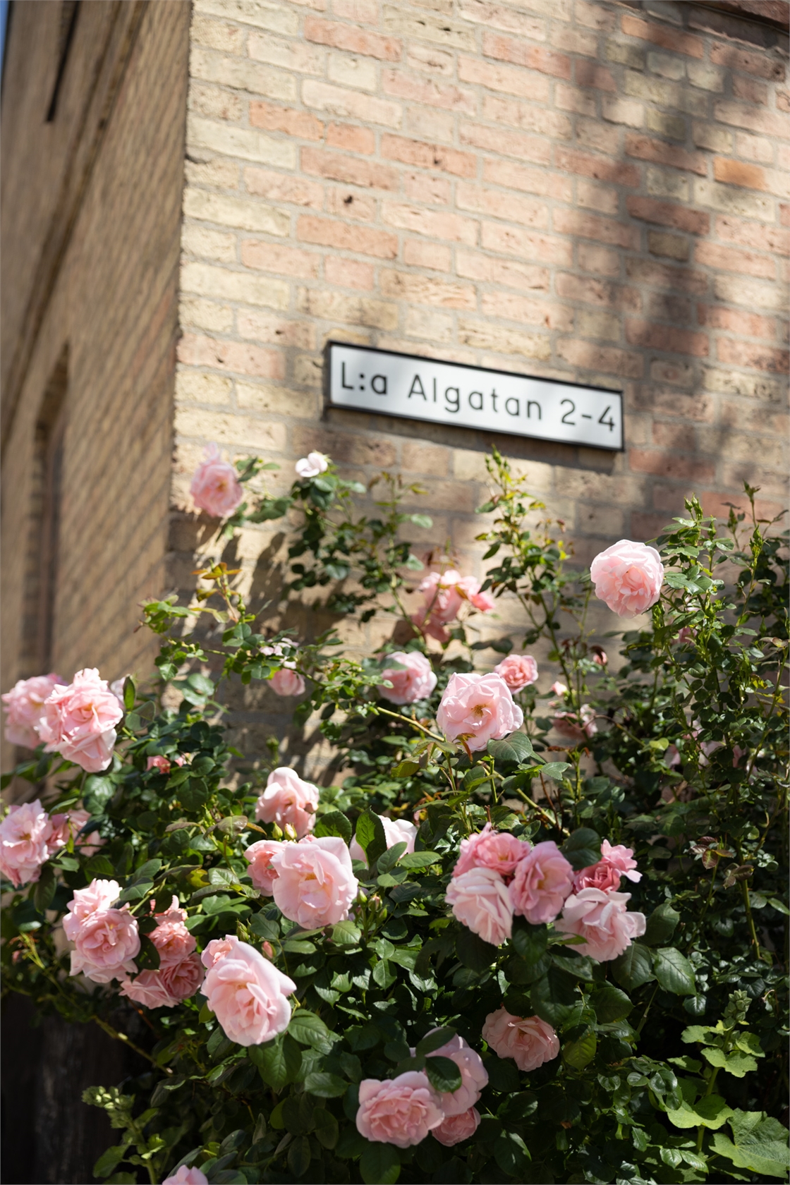 Lilla Algatan 4A – bild 17