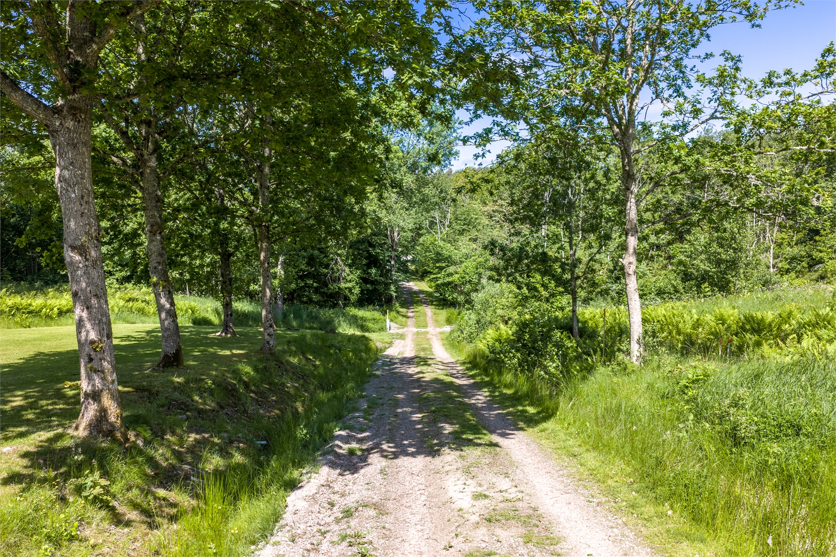 Del av Bokenäs Fossen 425 – bild 8