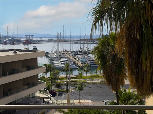 Paseo Marítimo | Mallorca