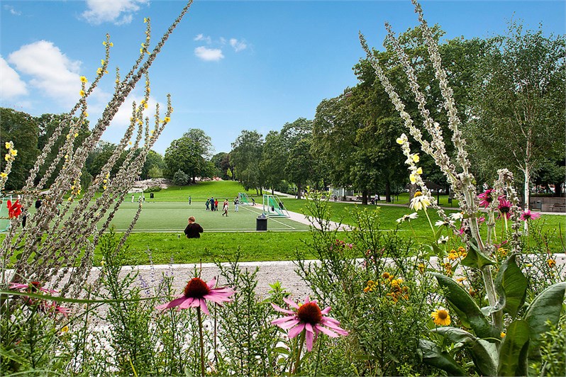 Hedemoratäppan 1 – bild 36