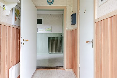 Flen 20