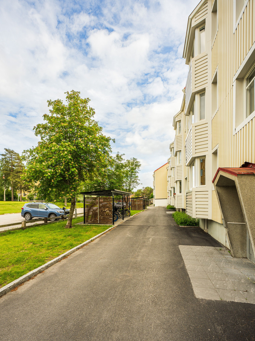 Orienteringsstigen 6C – bild 57
