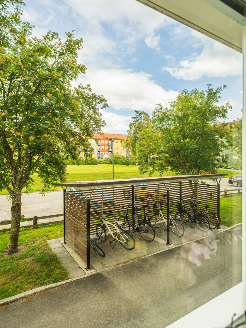 Orienteringsstigen 6C – bild 53