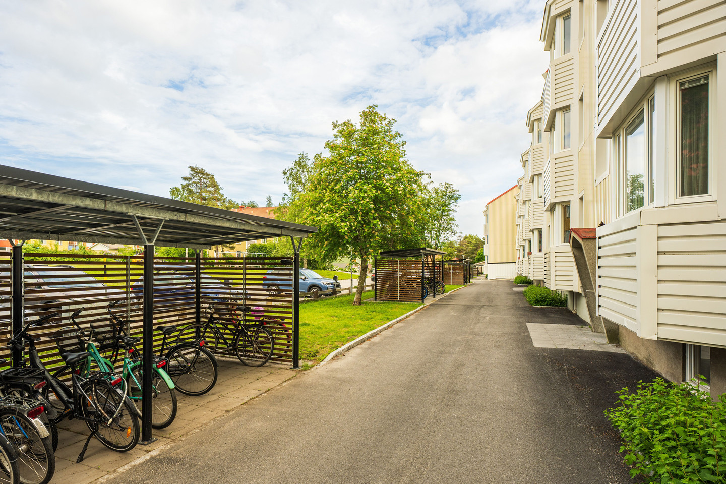 Orienteringsstigen 6C – bild 44
