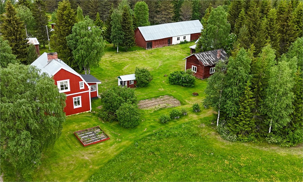 Moräng 308