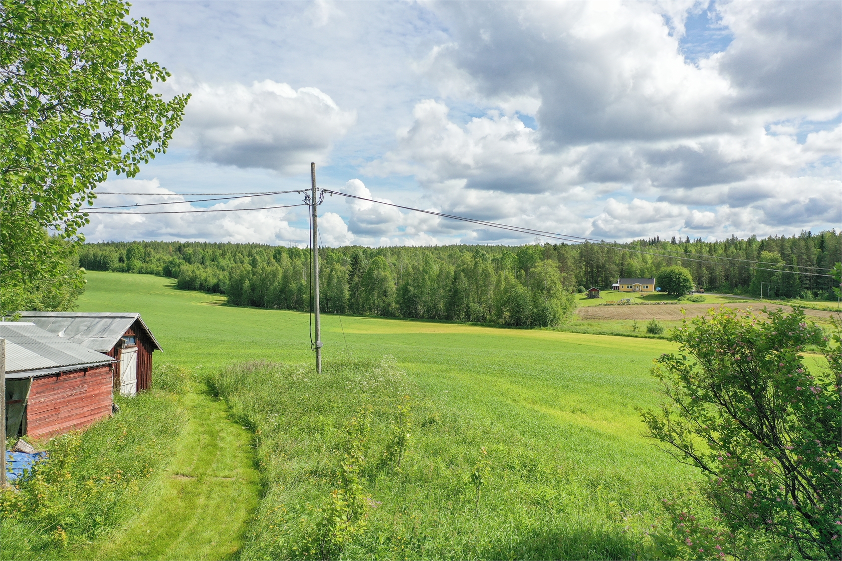 Bodträsk – bild 3