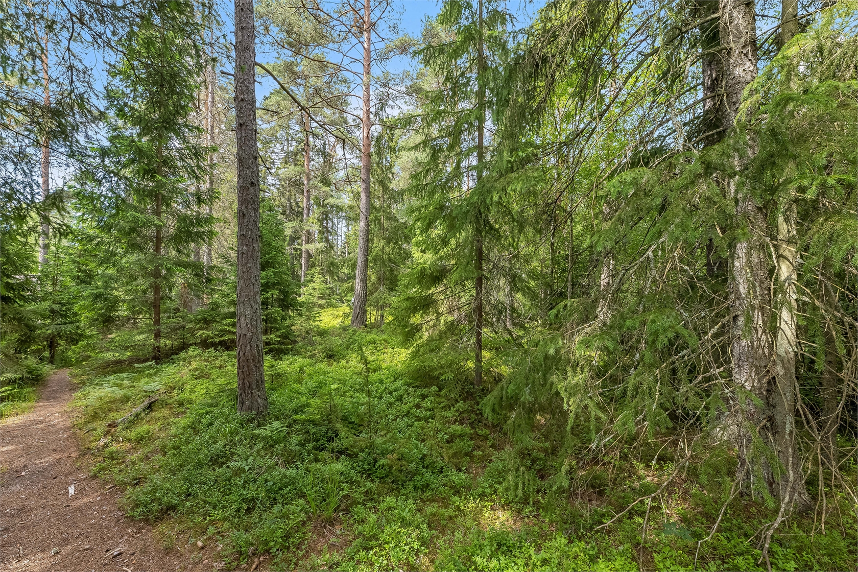Skogslyckevägen 11 – bild 11