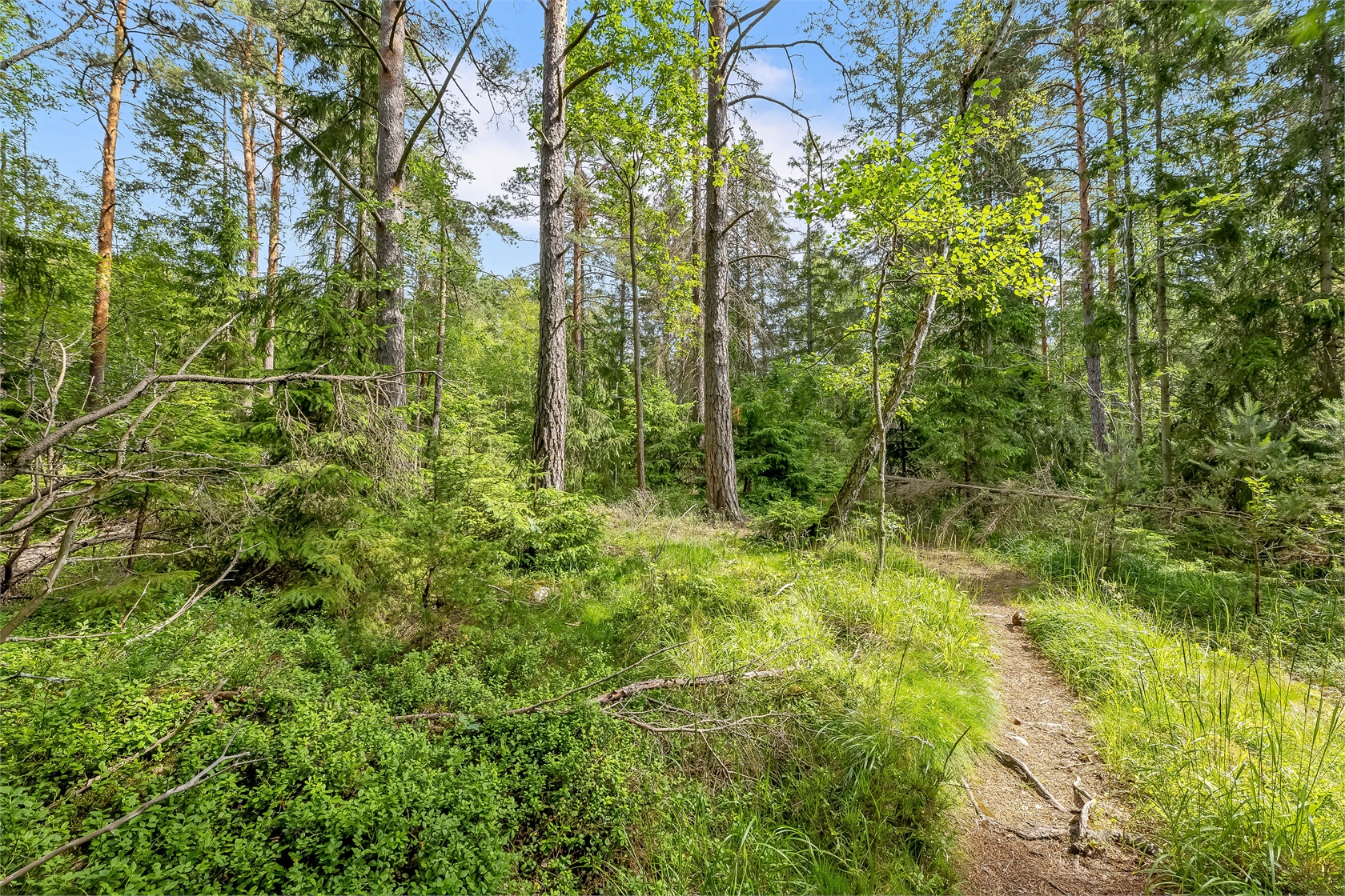 Skogslyckevägen 11 – bild 9