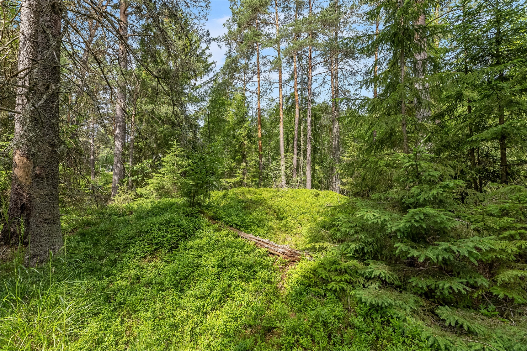 Skogslyckevägen 11 – bild 10