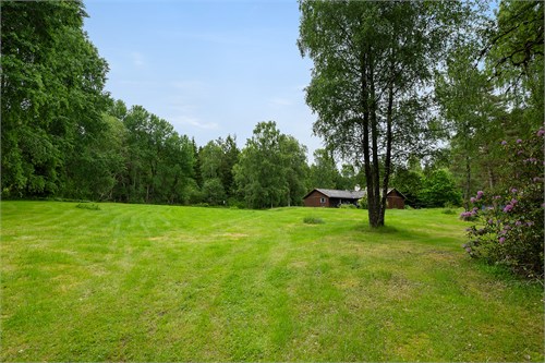 Brännared Valdesro 