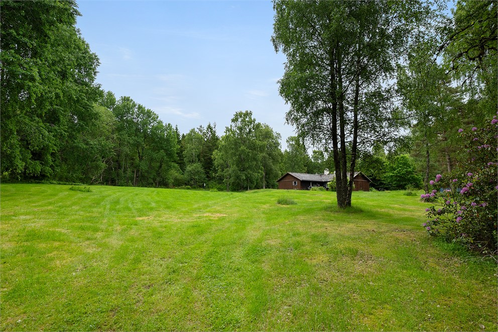 Brännared Valdesro