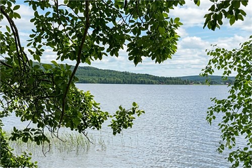 Grannäs 50
