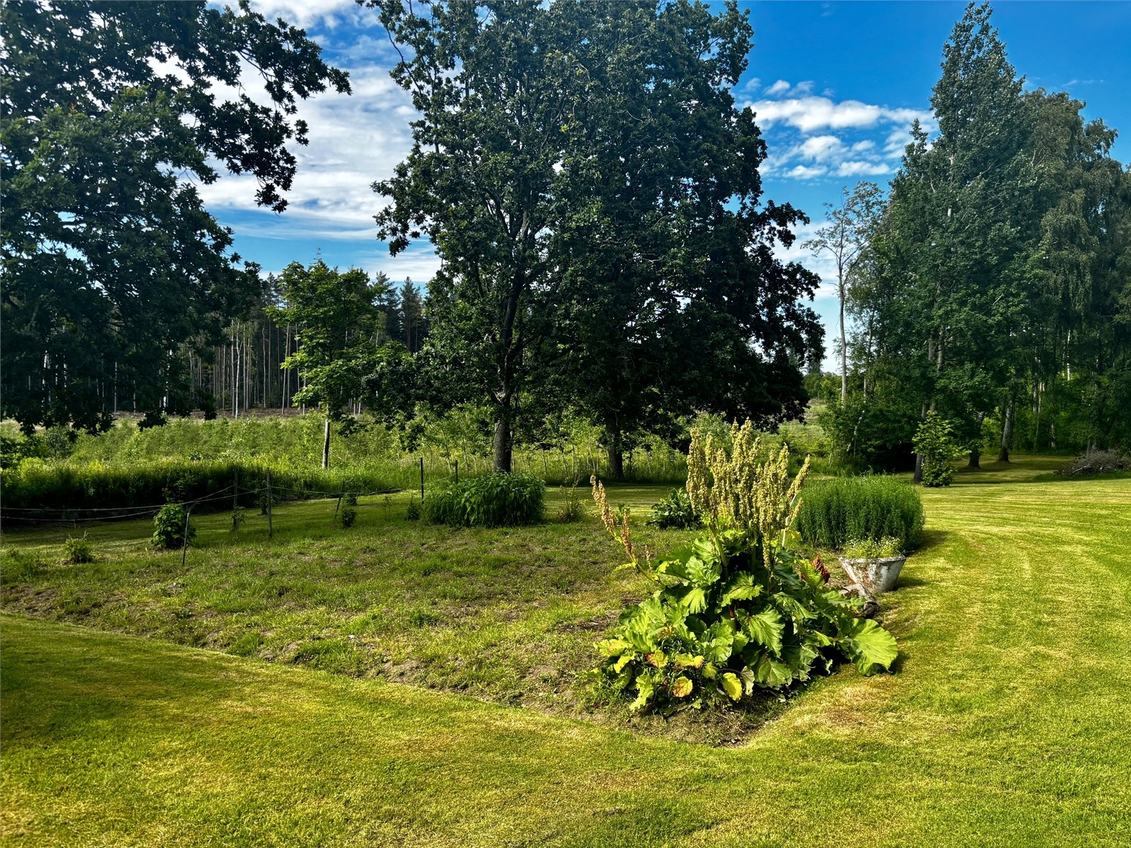 Lindärva Höglunda 1 – bild 8