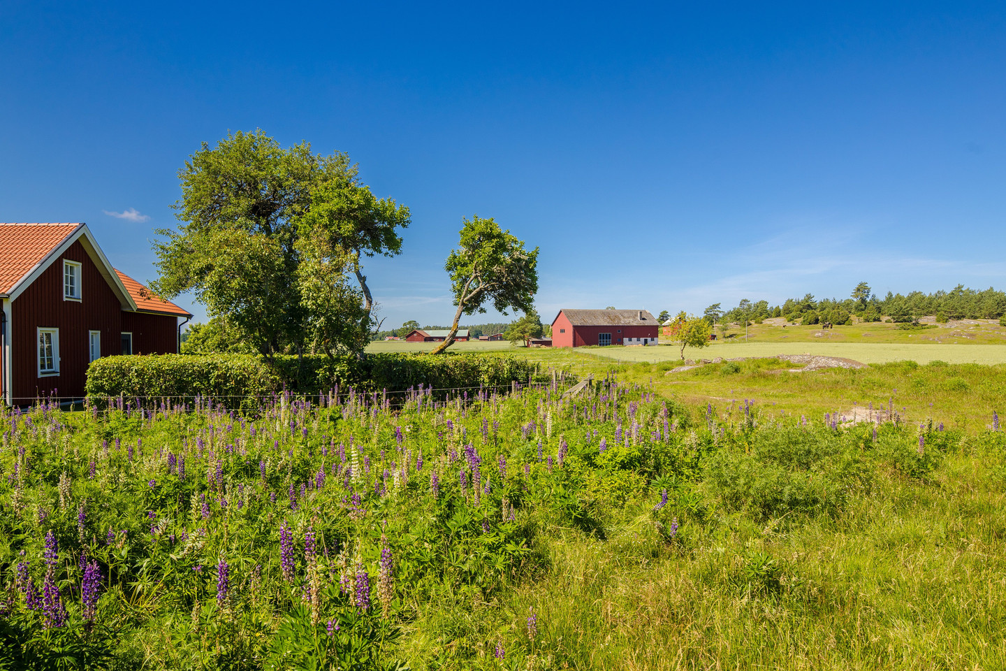 Norra Kedum Pilebo 1 – bild 14
