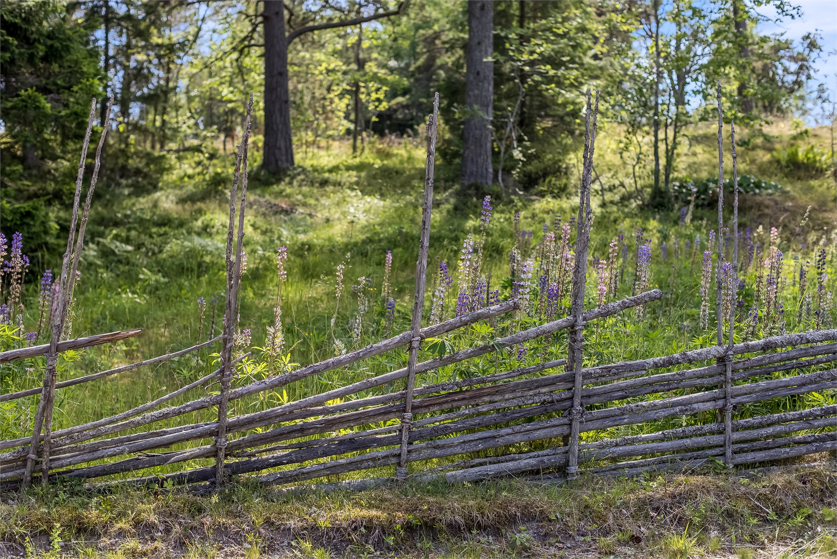 Lugnetvägen 11 – bild 68