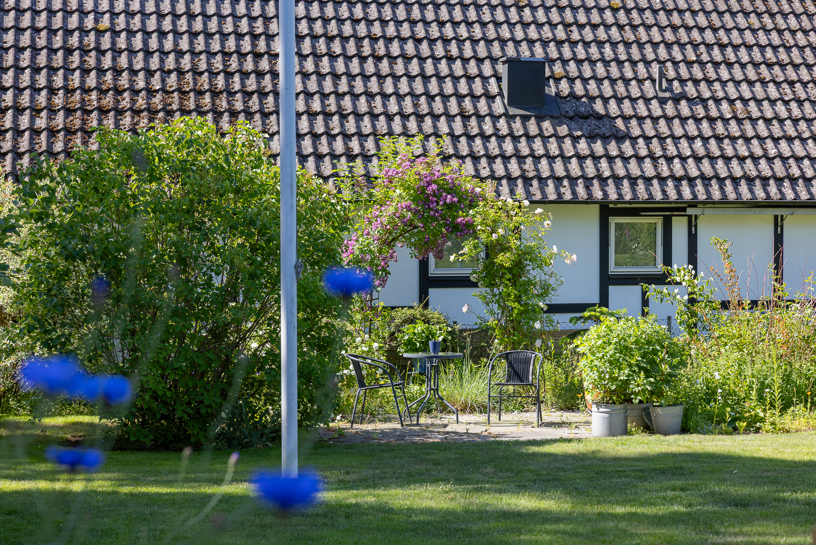 Gökblomstervägen 18 – bild 16