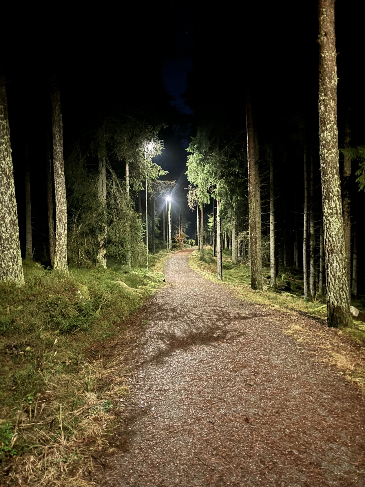 Sparrfeltsgatan 110 – bild 37