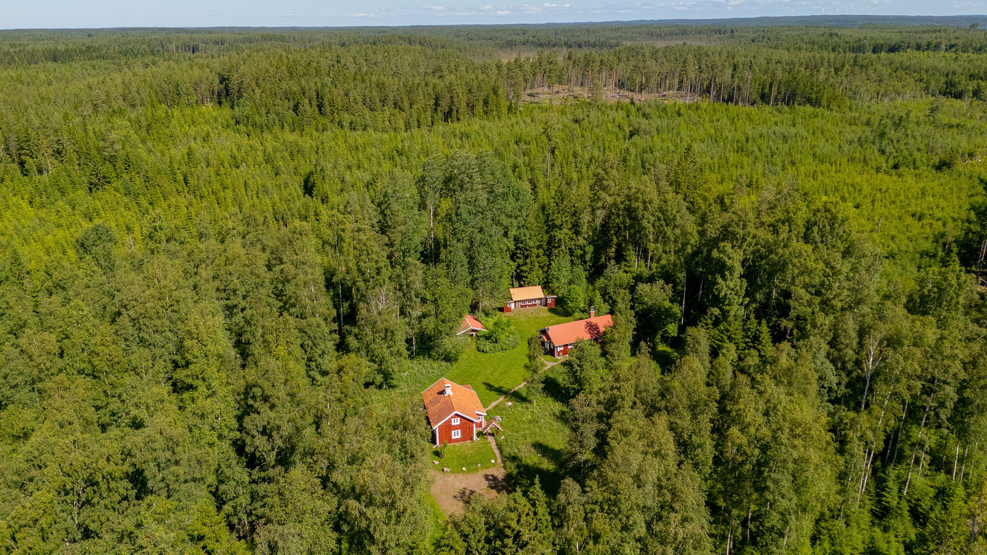 Pjungserud Fågelmossen 19 – bild 40