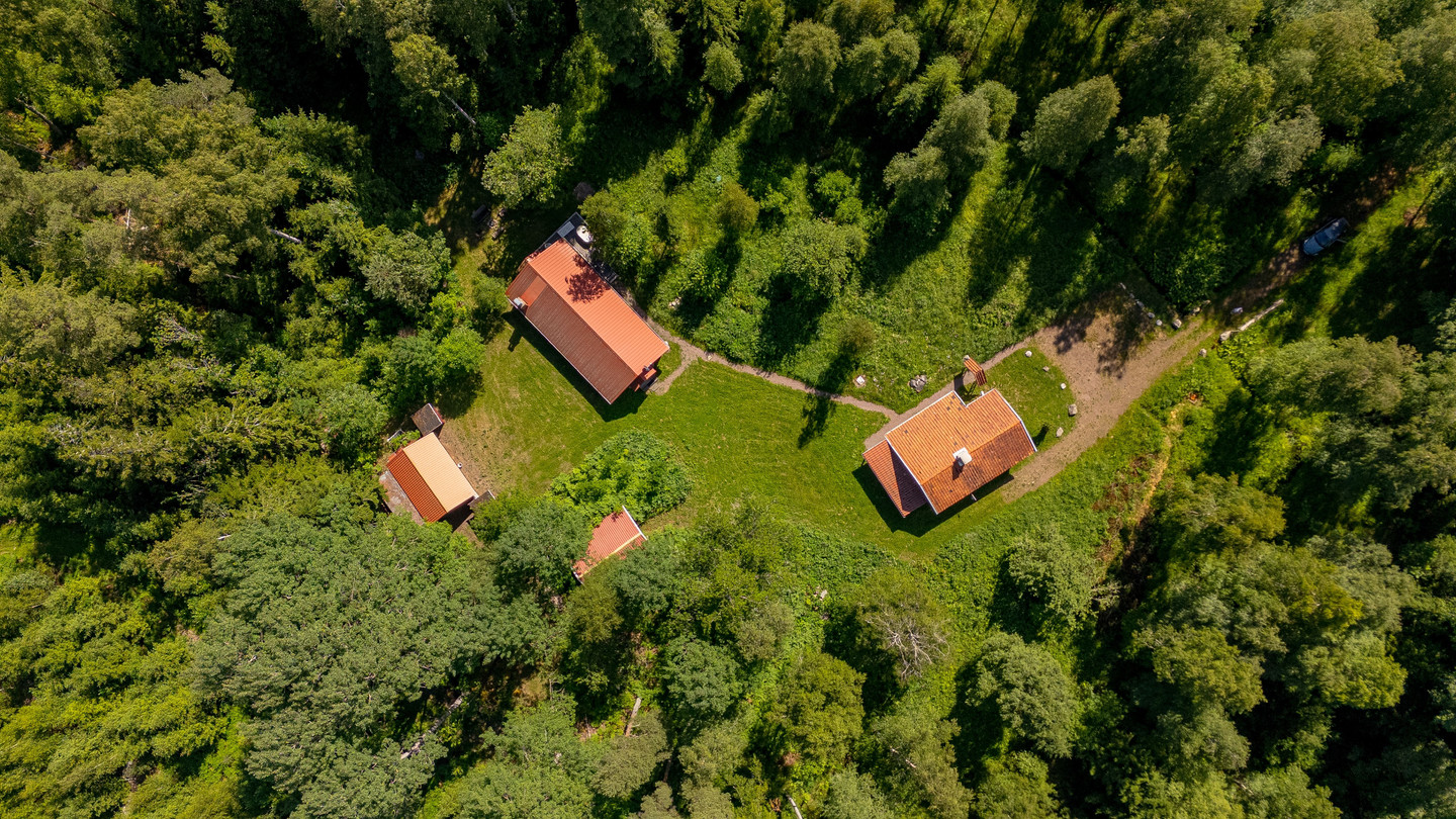 Pjungserud Fågelmossen 19 – bild 41