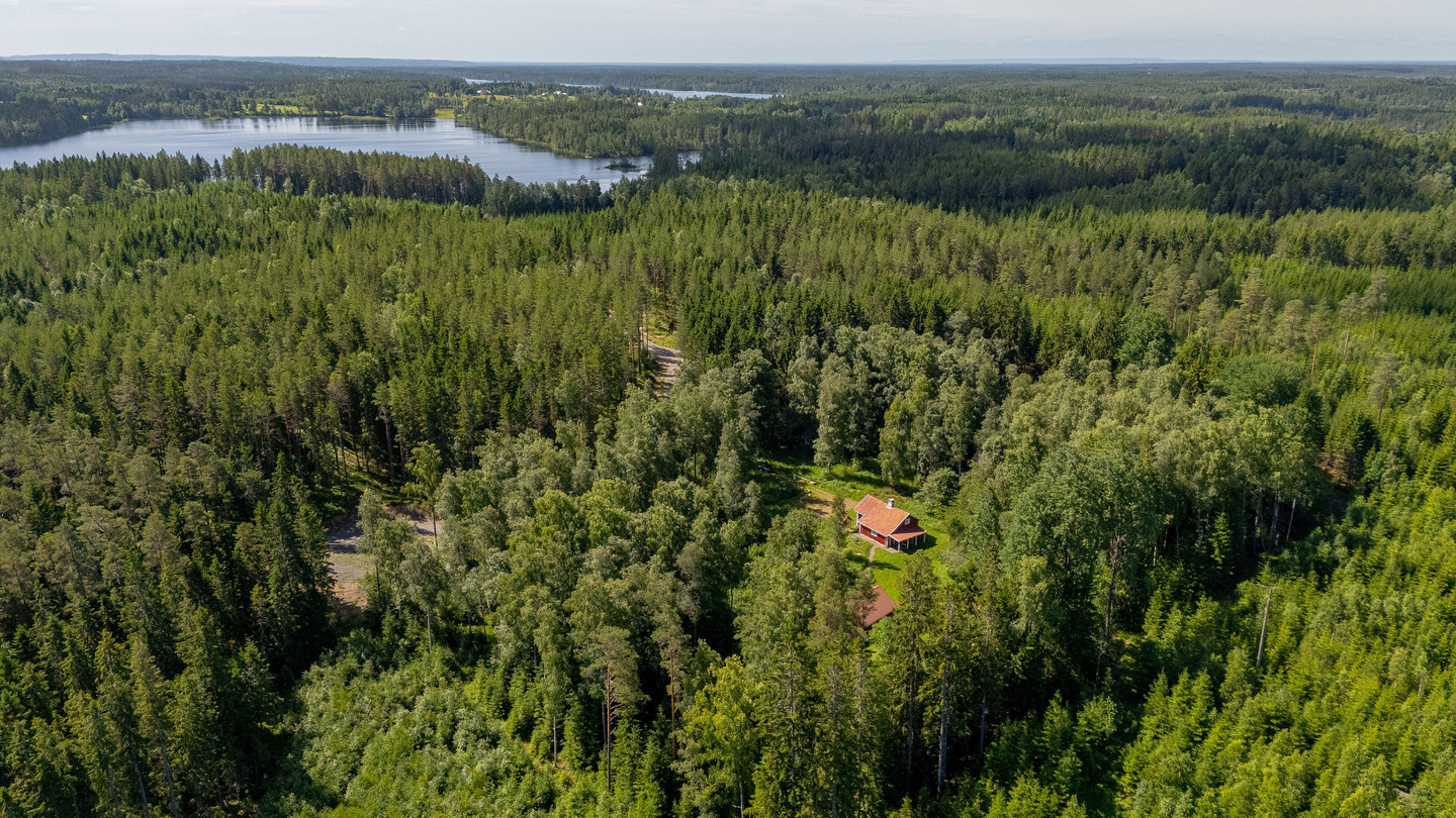 Pjungserud Fågelmossen 19 – bild 2