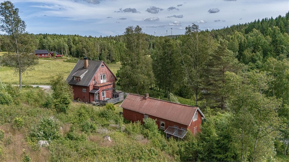 Hämmen 2