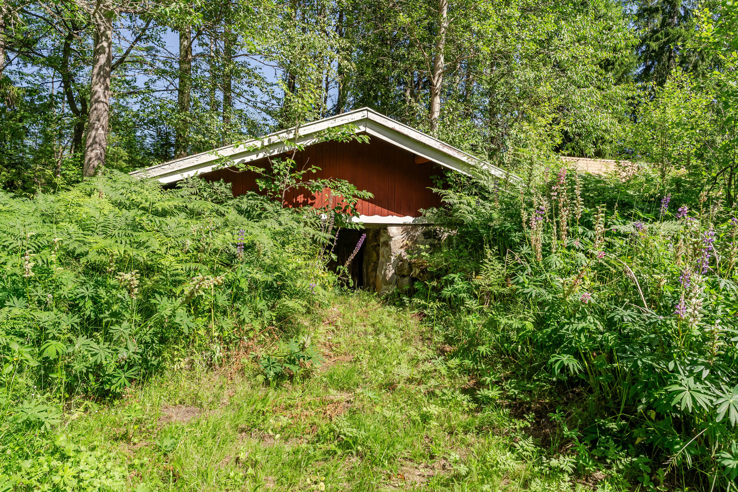 Pjungserud Fågelmossen 19 – bild 36