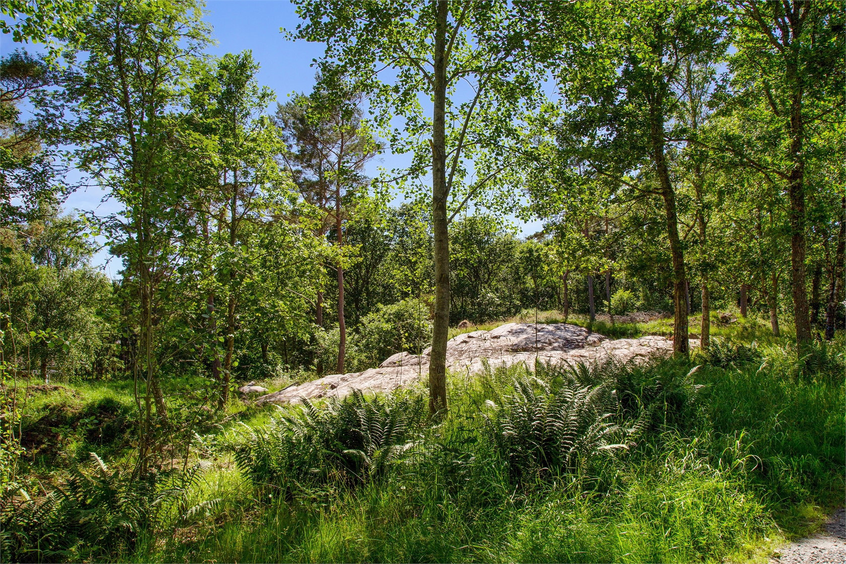 Kungsviken 625 – bild 13