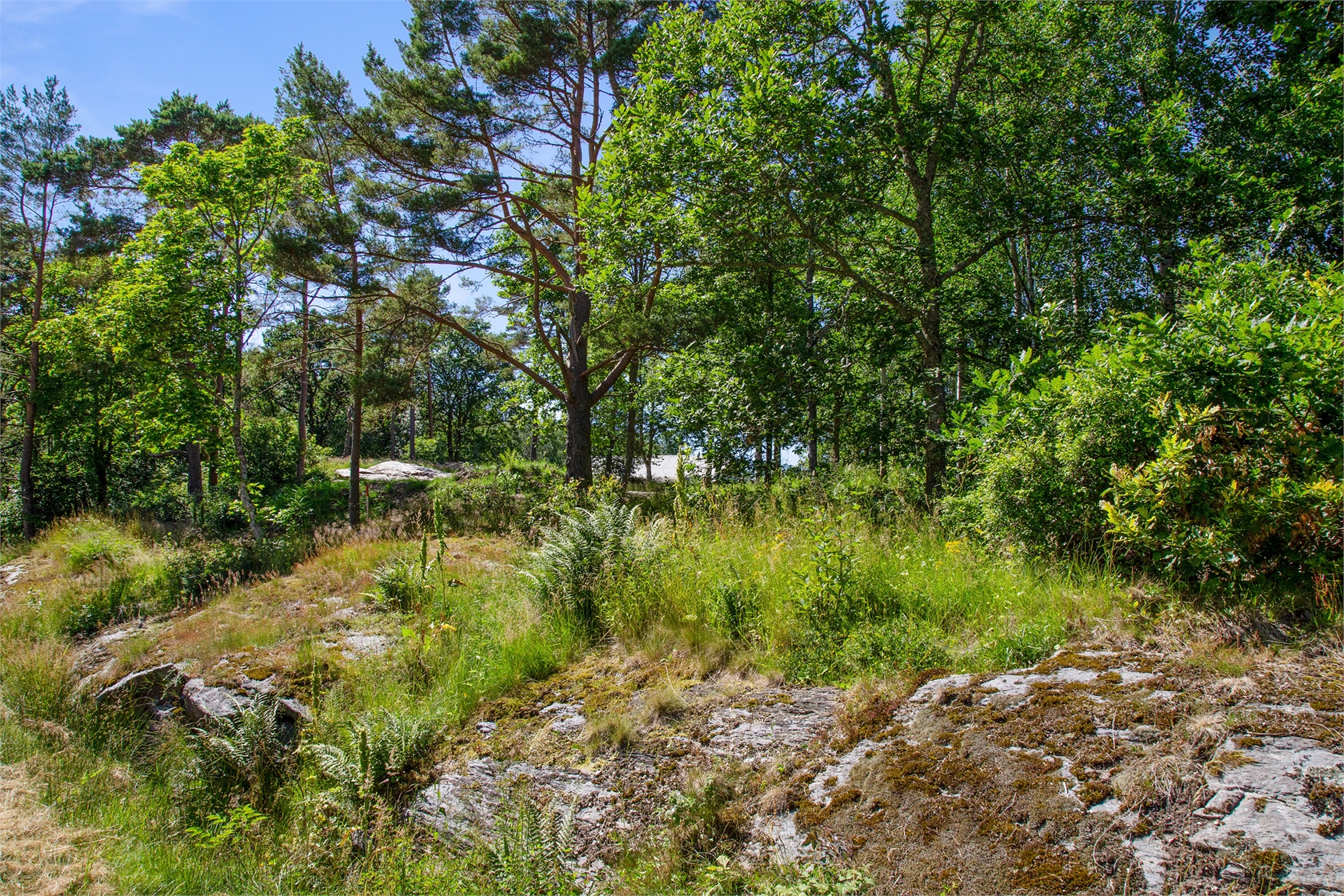 Kungsviken 625 – bild 16