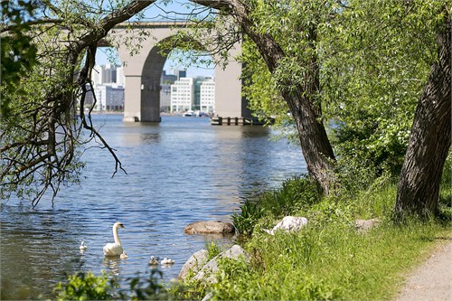 Promenadstråk utanför fastigheten