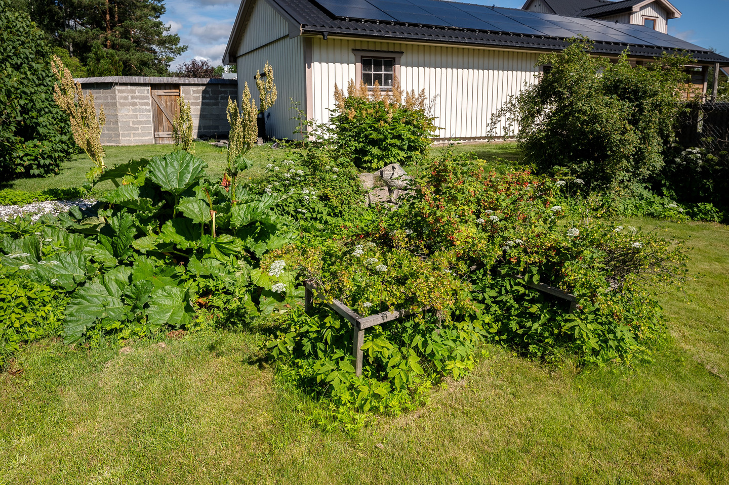tors 15/10 – bild 19