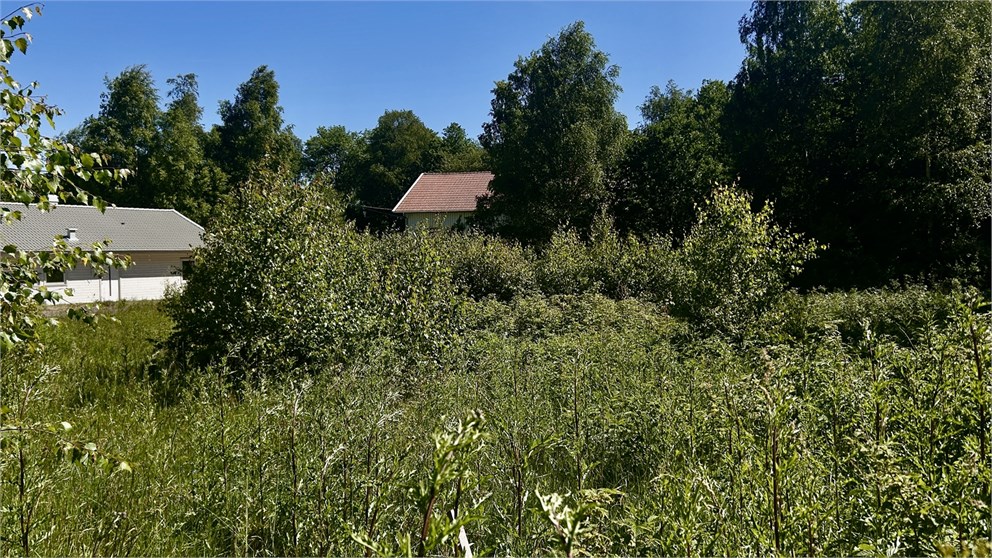 Furudalen 6