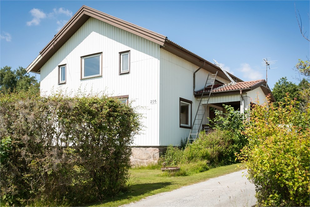 Spekeröds Apleröd 205