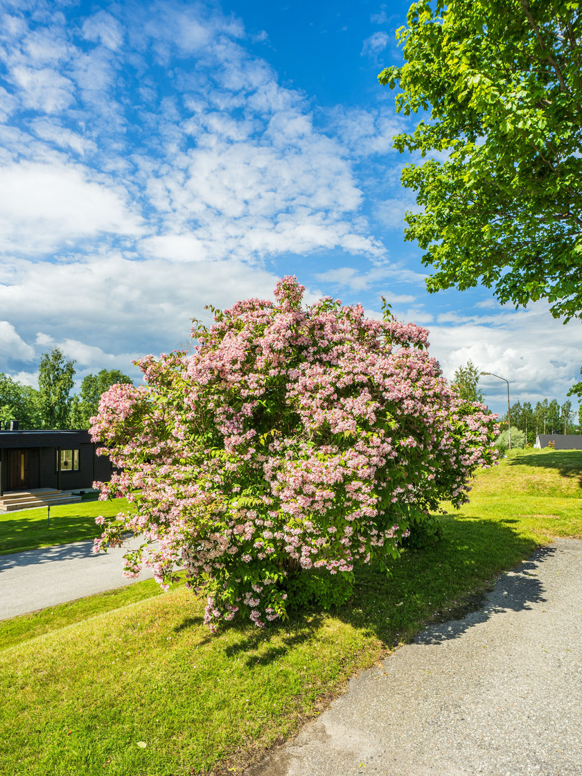 Gitarrvägen 46 – bild 43