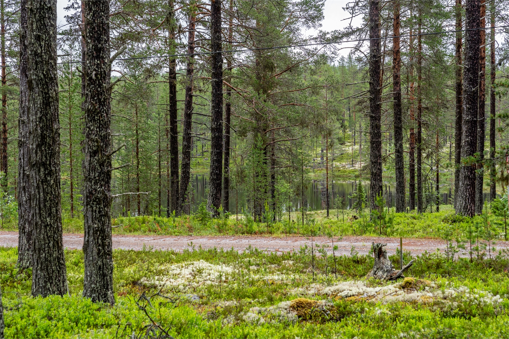 Tomt i Grötholen – bild 7